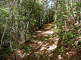 2007 Fall Hemphill Bald