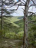 2014 Spring Backpacking Savage Gulf TN