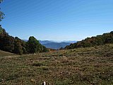 2007 Fall Hemphill Bald